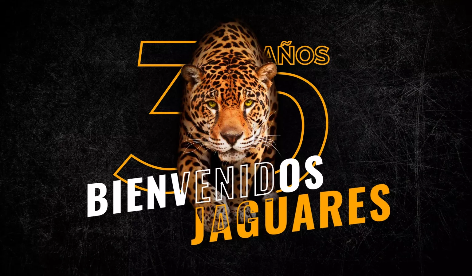 bienvenidos