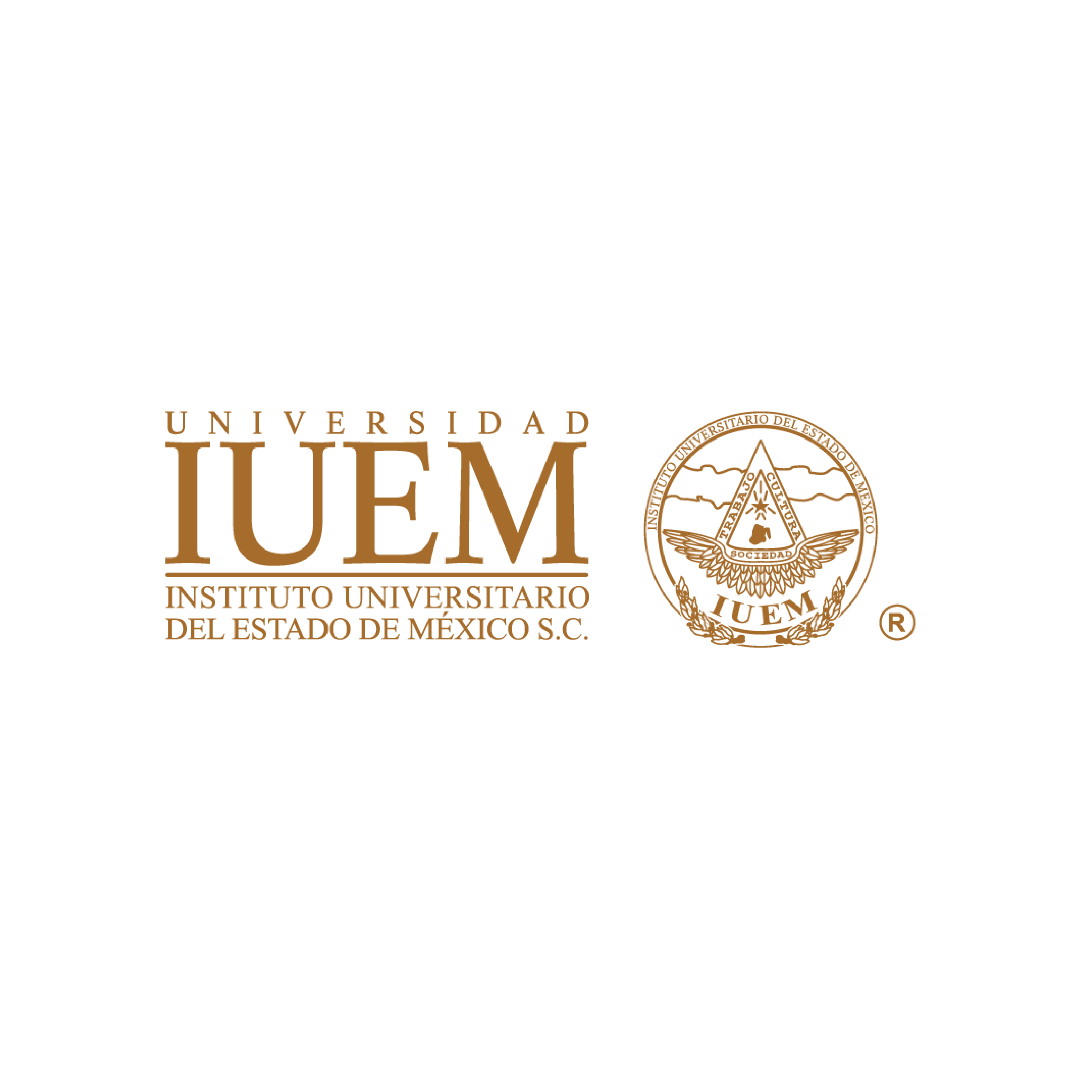 logos escuelas-11